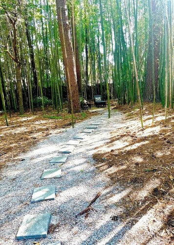 3-bedroom  house in welcoming Garner with cool BAMBOO for relaxing stays