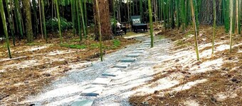 3-bedroom  house in welcoming Garner with cool BAMBOO for relaxing stays