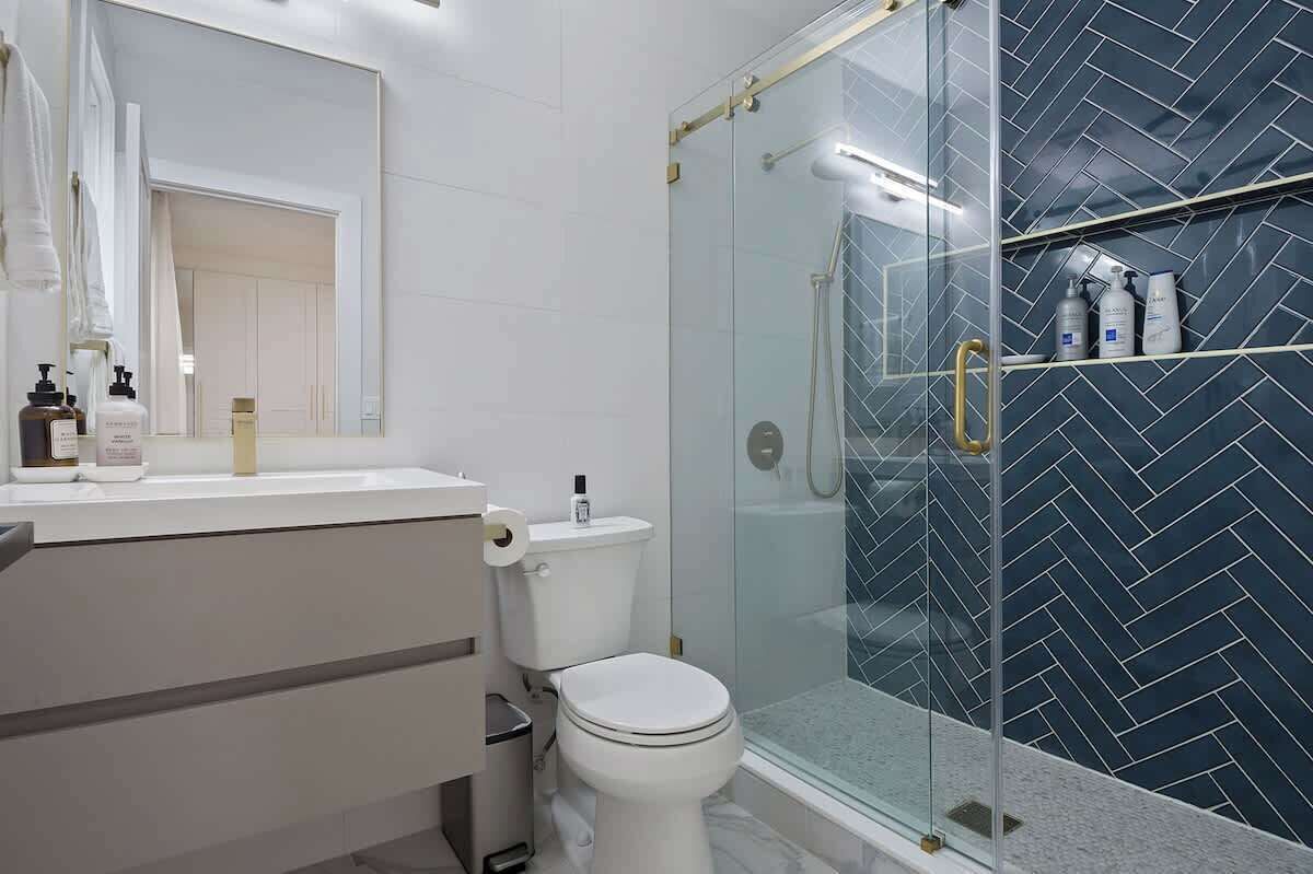 Shower, hair dryer, shampoo