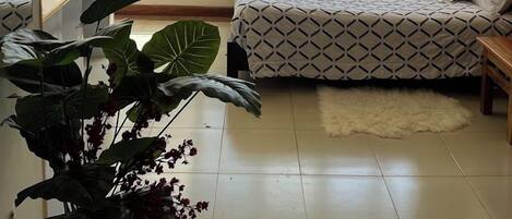 Wi-Fi gratuit, draps fournis