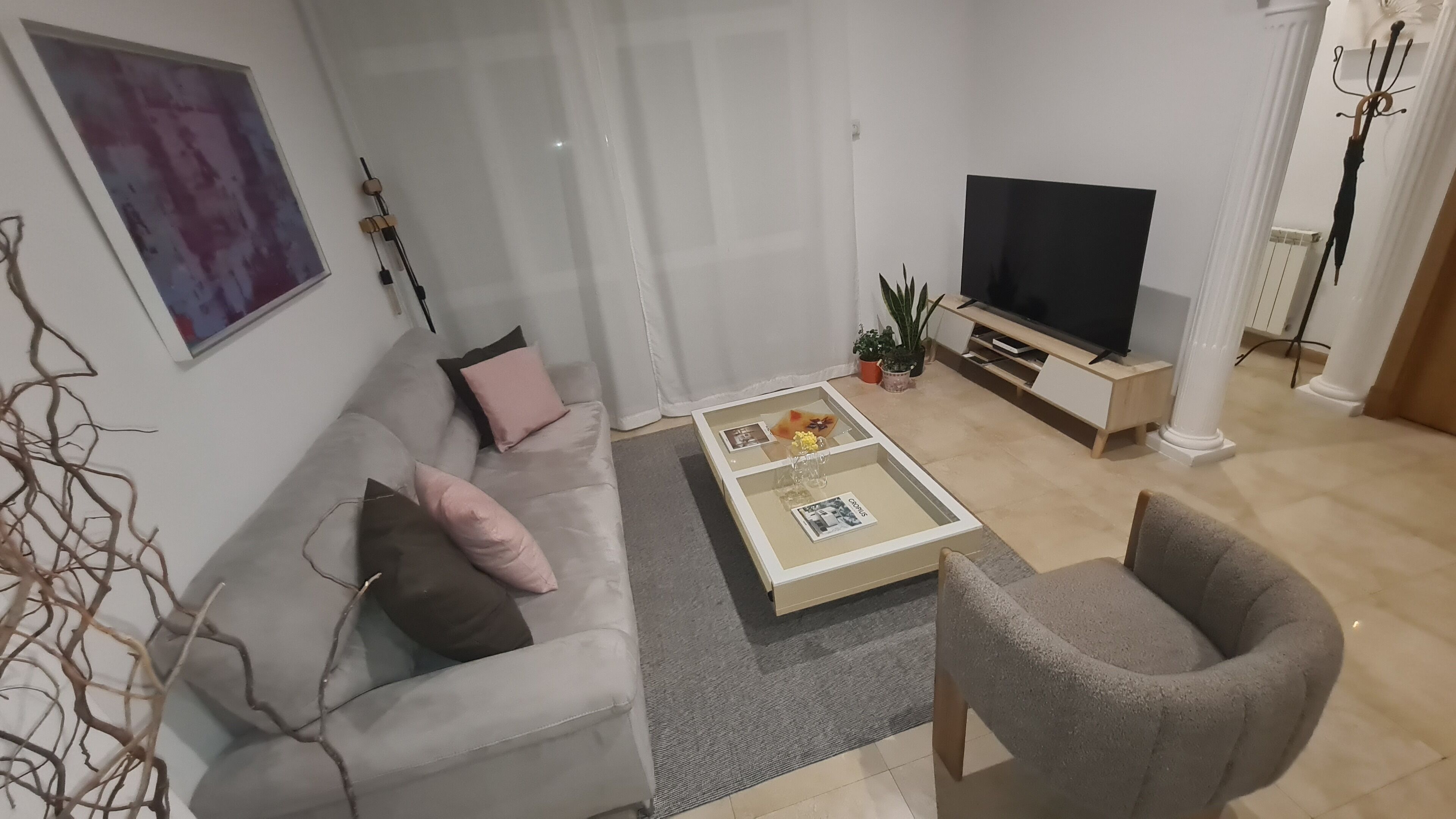 Smart-tv, bøger