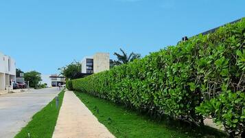 Área da propriedade