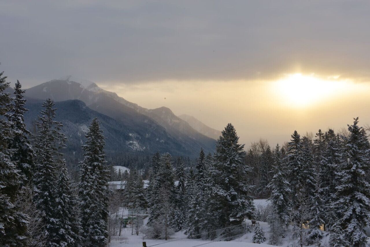 A snowy mountain landscape with evergreen trees and a clear sky.