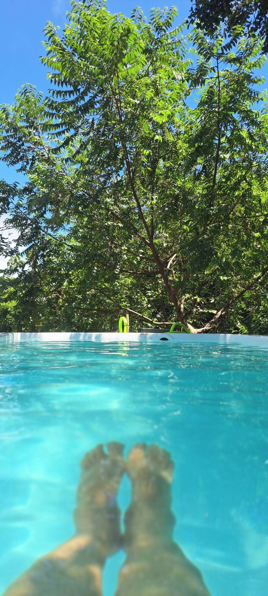 Imagem do perfil do anfitrião