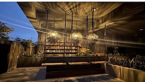 Una escalera moderna con un candelabro, rodeada de plantas, y una zona de bar con estantes llenos de botellas.
