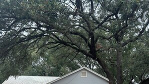 A single-story house with a brick facade, a garage, and a large tree in front. - Clean, Spacious, 3BR 1.5BA, Near Shipyards, Chevron, Beach, Casinos, Fenced yard (Pascagoula)