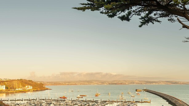 Un puerto deportivo con numerosas embarcaciones amarradas, un rompeolas curvo y una vista distante de un paisaje urbano.