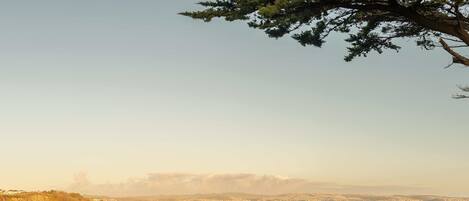 코티지 | 마리나