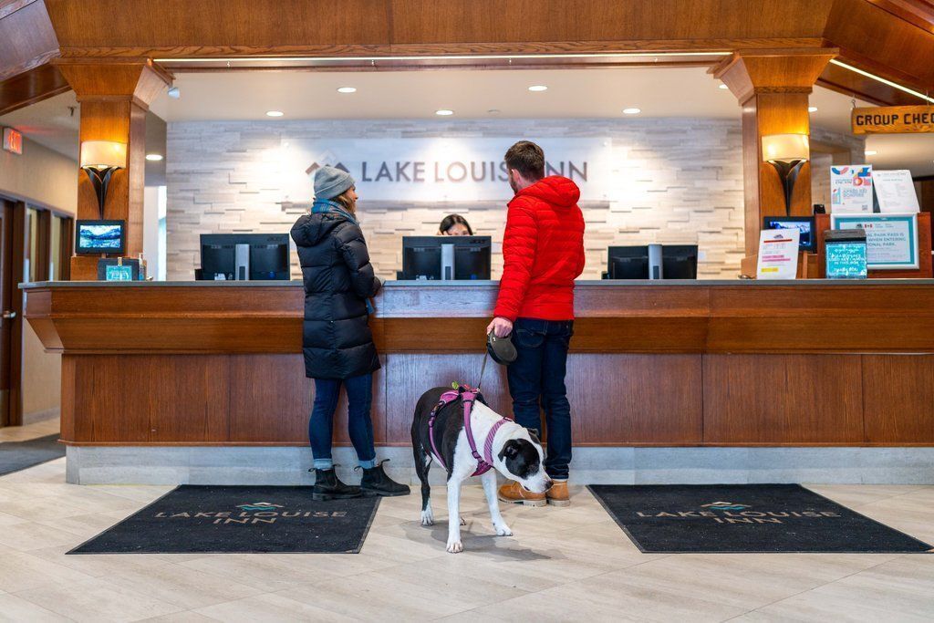 En receptionsdisk på Lake Louise Inn med en träbeklädd bardisk, en digital skärm och en hund som bär en sele.