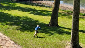 A grassy area with a wooden dock extending into a body of water, surrounded by trees. - Dora Jean's Lake Front Fishing Cabin w/ boathouse, on Lake Guntersville Sleeps12 (Scottsboro)