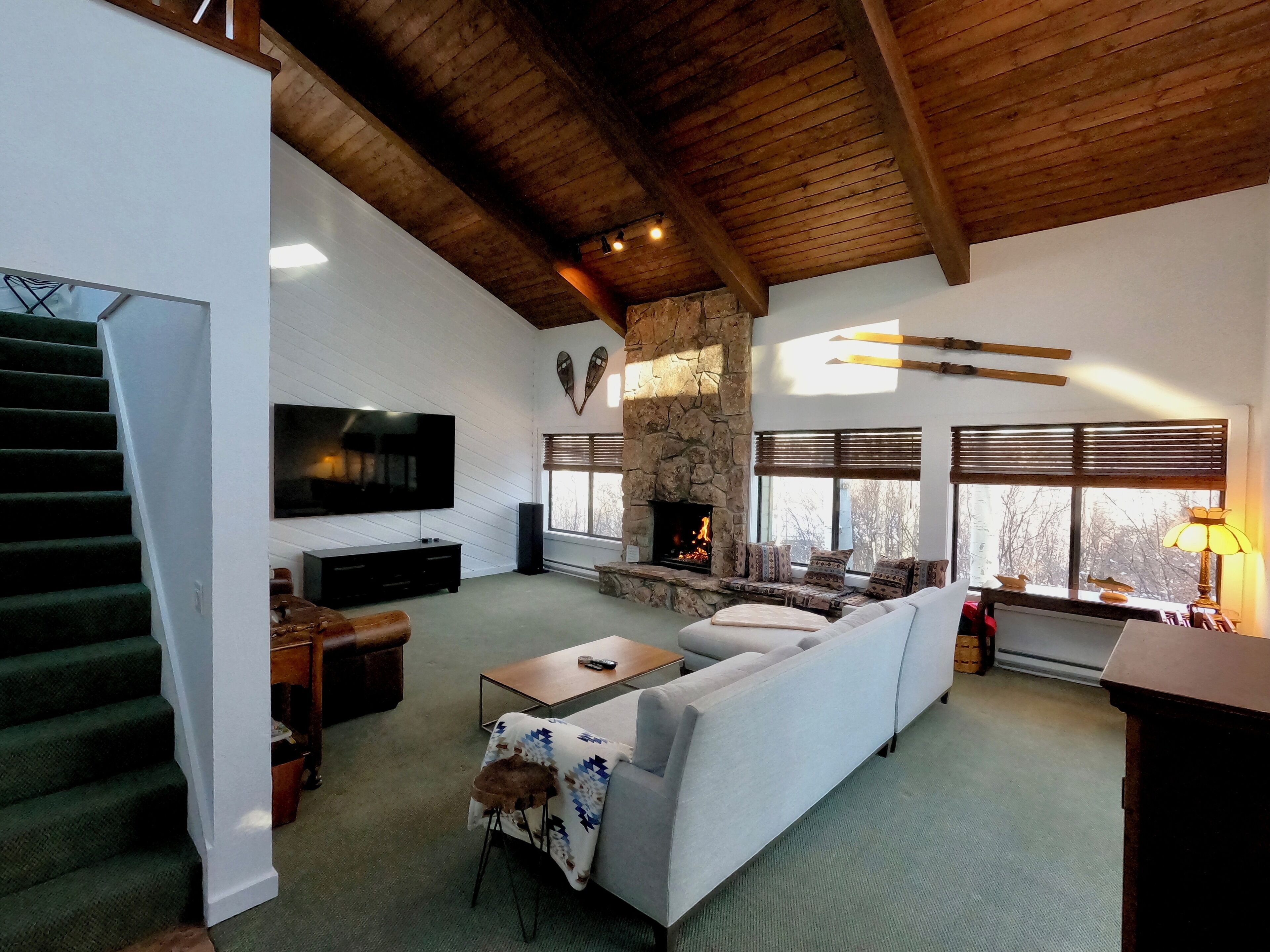 Älytelevisio, takka, DVD-soitin, musiikkikirjasto