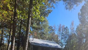 A rustic cabin with a metal roof, surrounded by trees and a forested area.