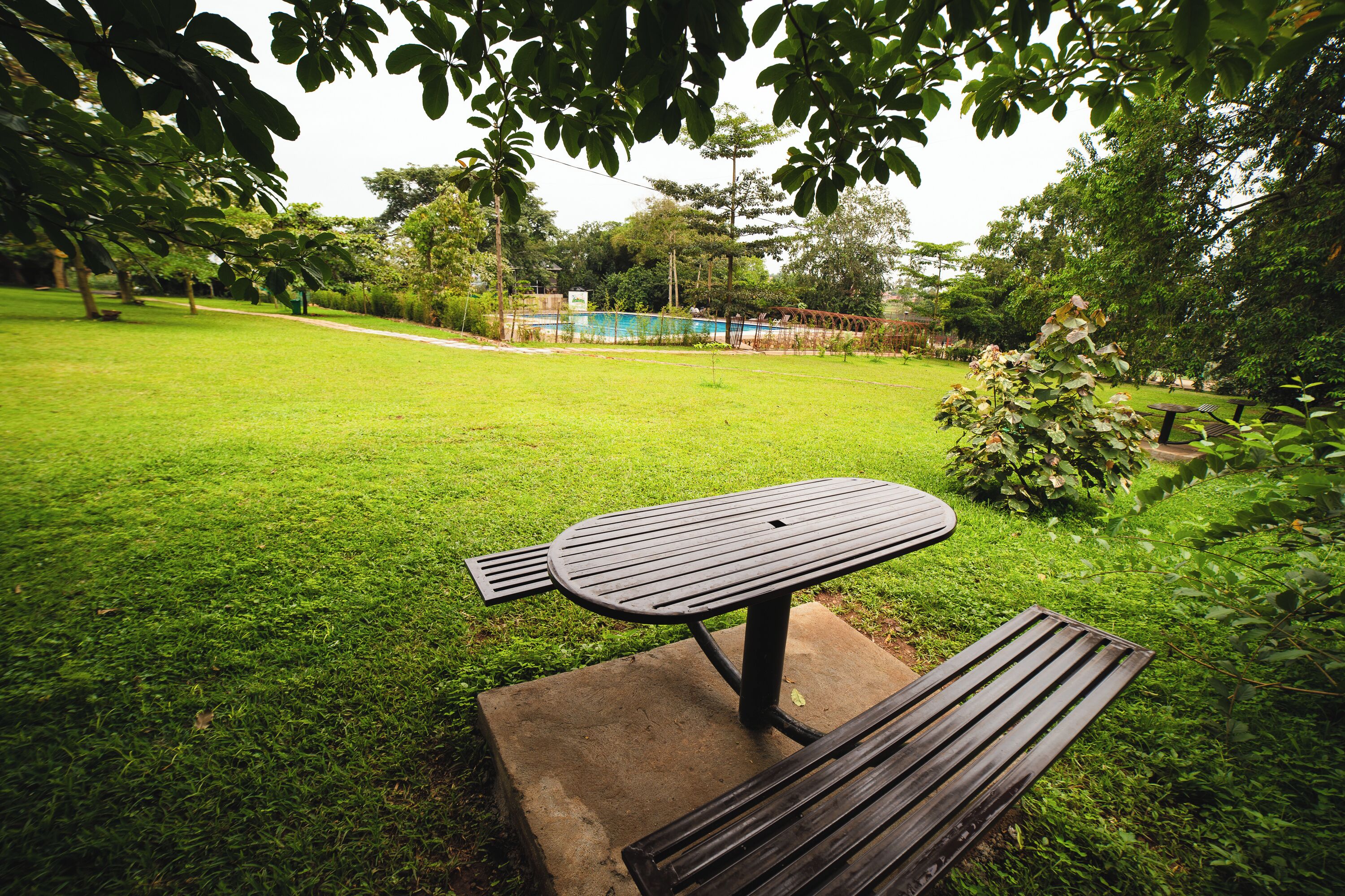 Double or Twin Room | Outdoor dining