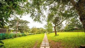 A paved pathway in a park with green grass on either side, surrounded by trees and a fence. - Serenity Sports Oasis (Kampala)