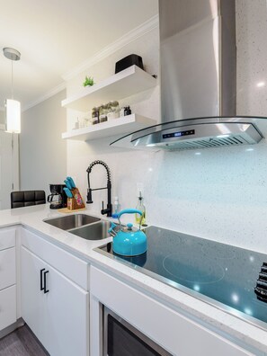 Private kitchen - BEST PRICE DEAL! Spacious, Fully Furnished Studio/1Bath - DALLAS TX 75231 (Dallas)