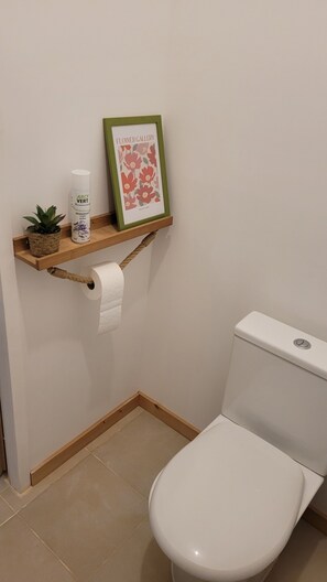 Séchoir à cheveux, savon, papier de toilette