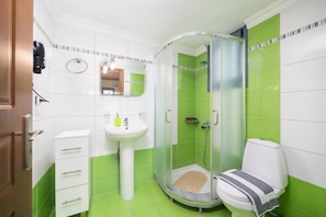 Dusche, Haartrockner, Handtücher