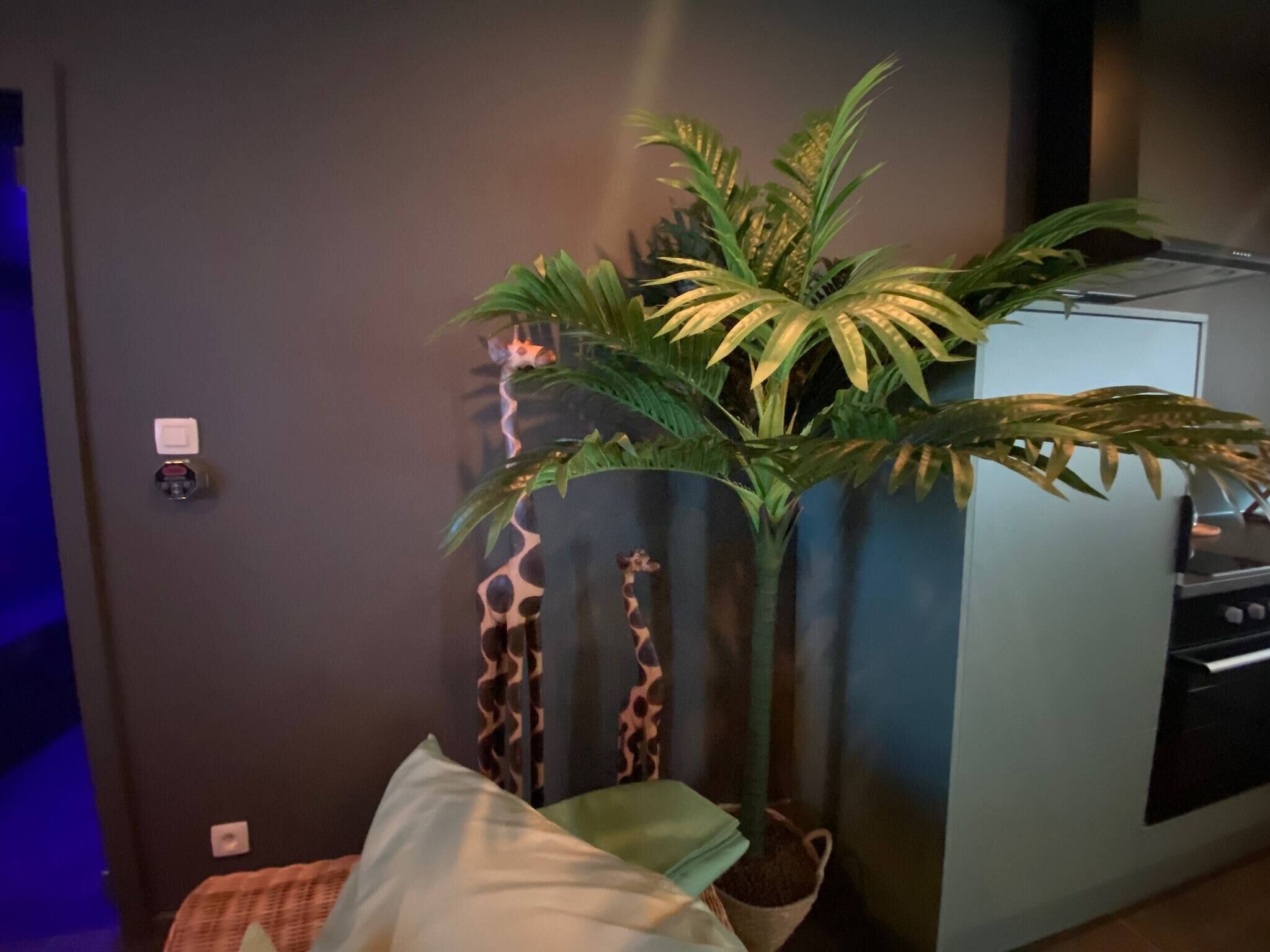 Apartment, 1 Bedroom, Smoking | Interior