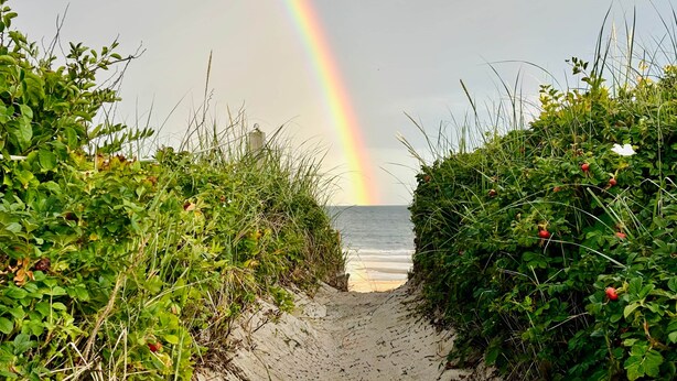 Un sentiero sulla spiaggia con un arcobaleno, vegetazione e l'oceano.