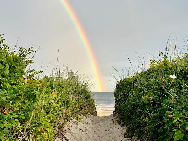 A beach path with a rainbow, greenery, and the ocean. - Wonderland on the Water with Exclusive Beach Access (Biddeford)