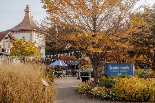 Mid-Century Modern Retreat in Saginaw Twp Near Frankenmuth & Midland
