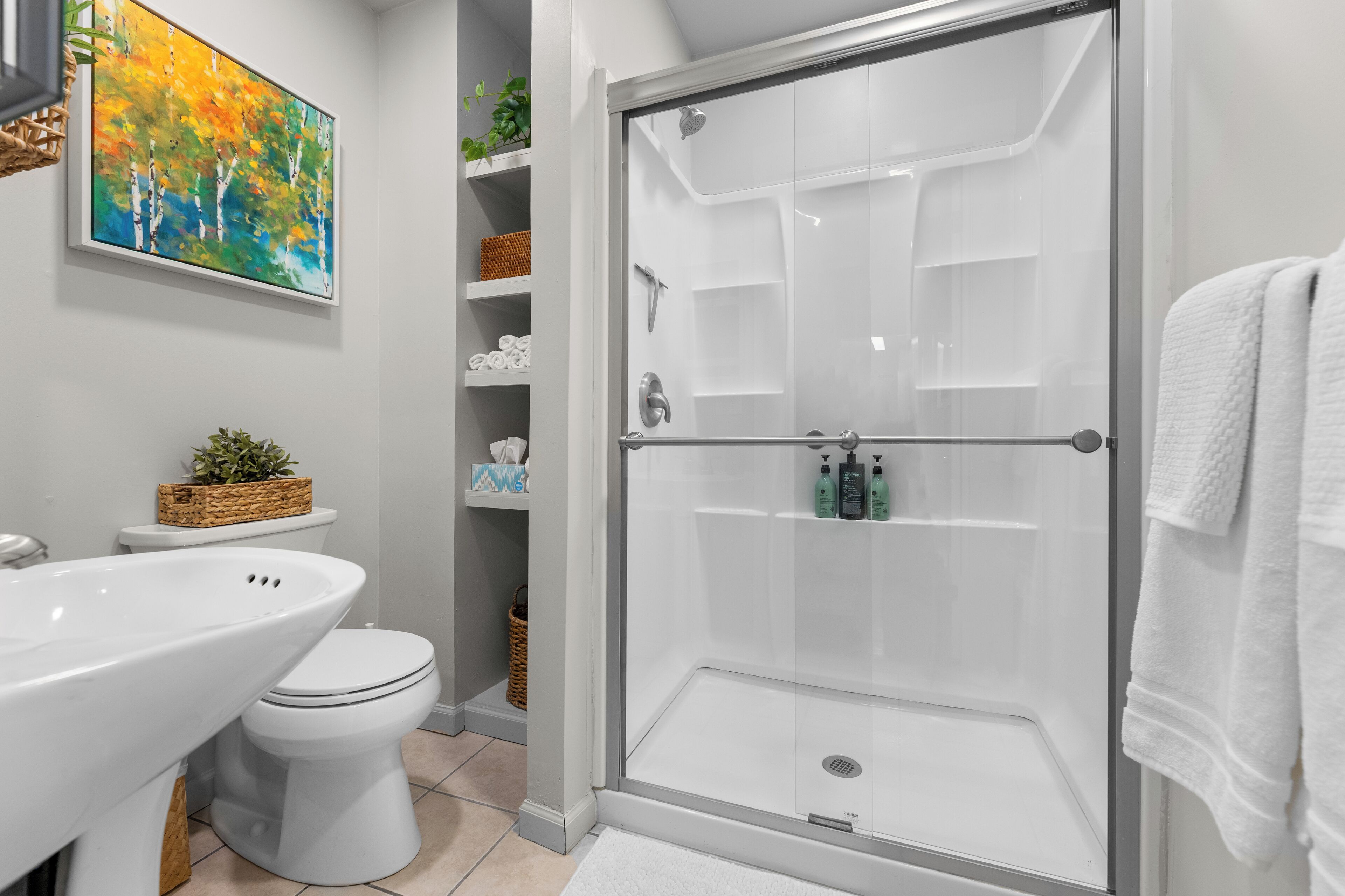 Hair dryer, towels, soap, toilet paper