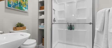 Hair dryer, towels, soap, toilet paper