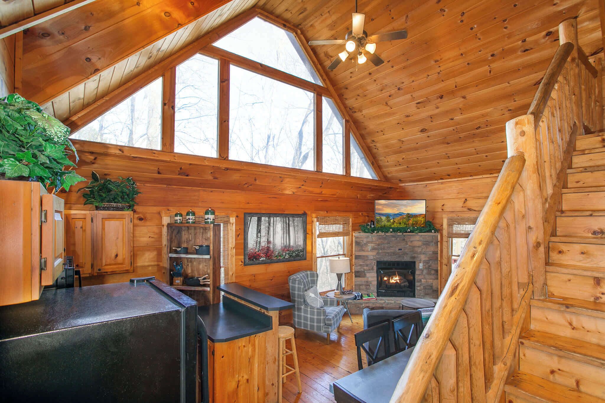 TV, fireplace, video games, table football