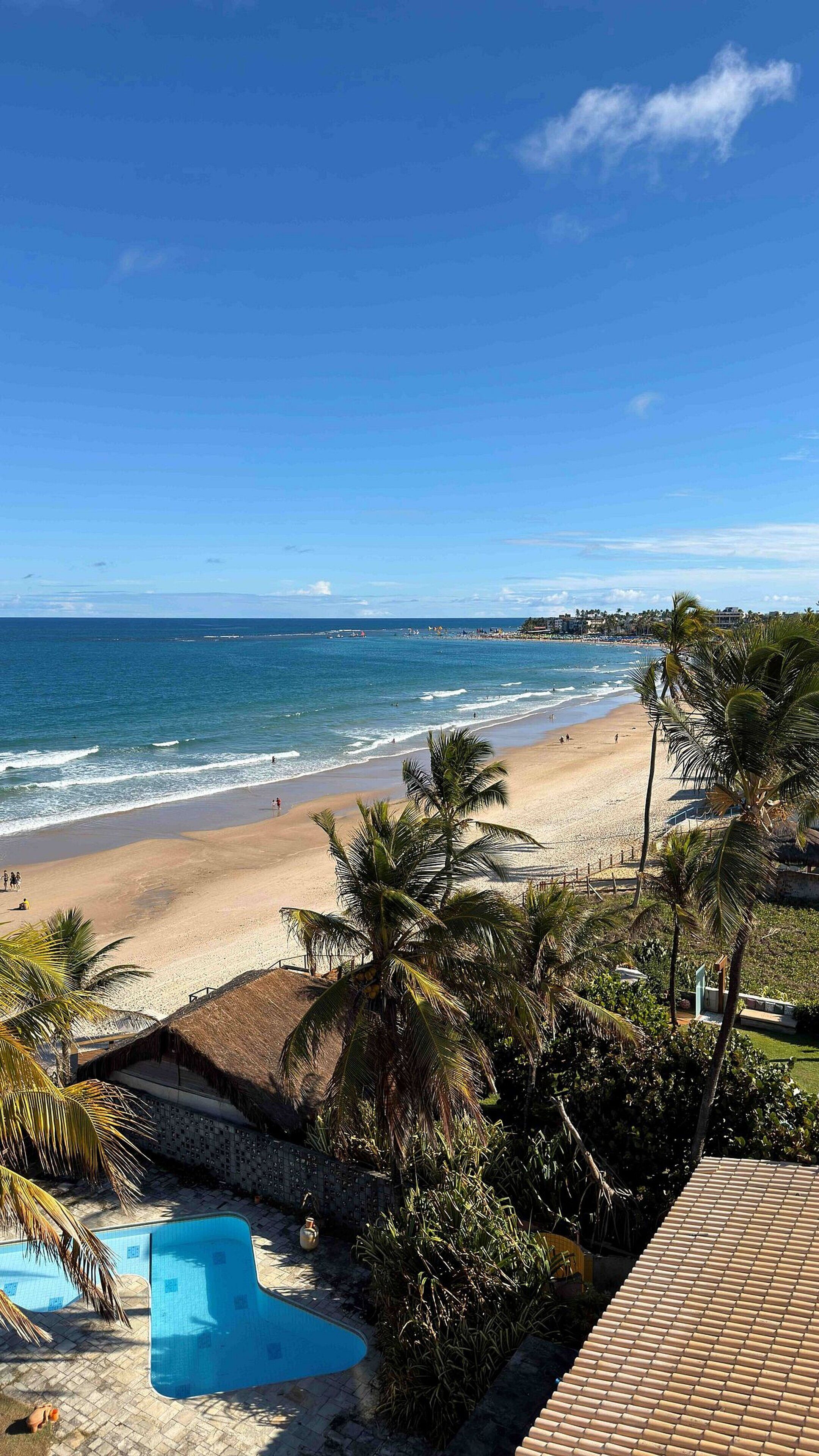 Vista da praia com piscina e palmeiras.