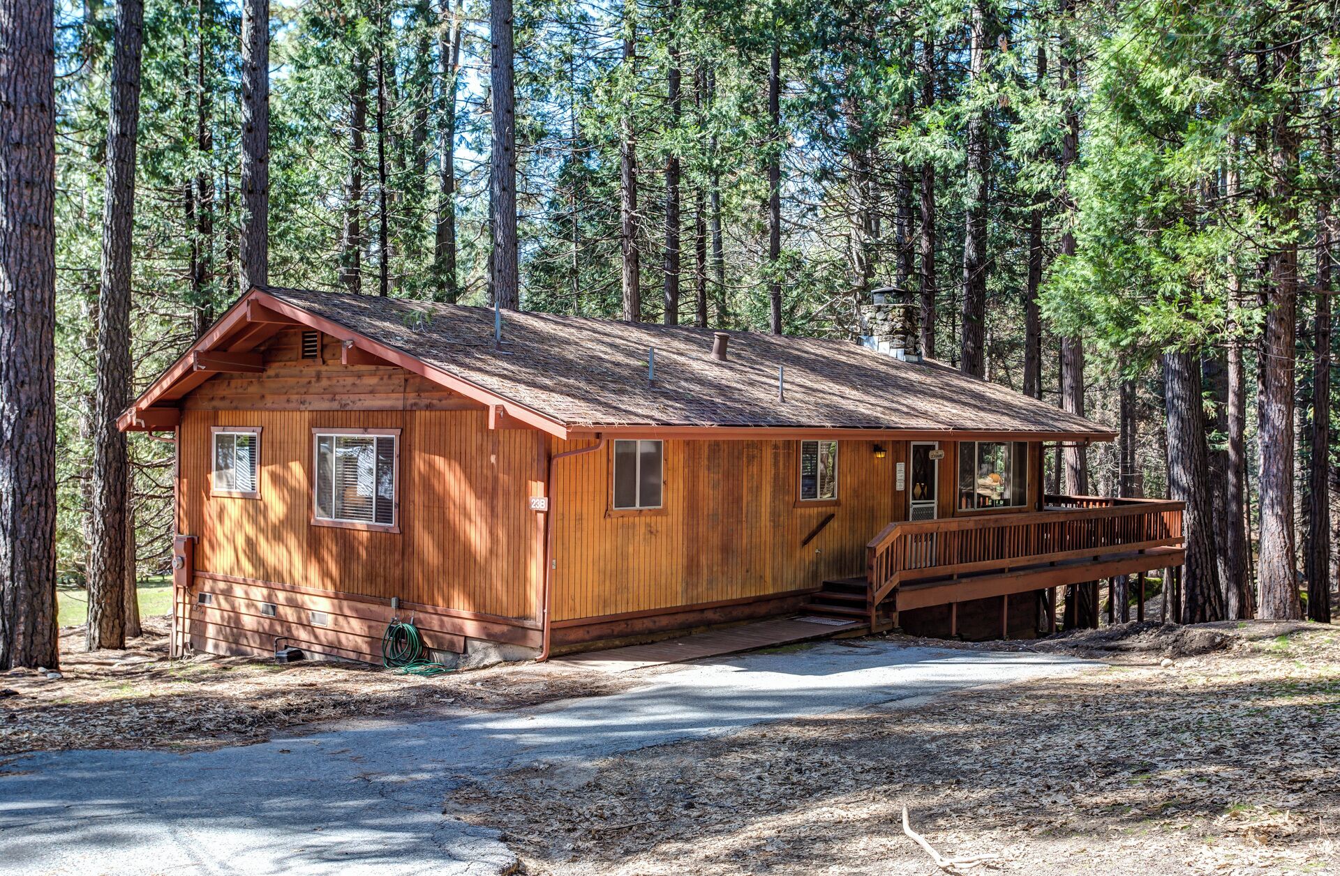 A wooden cabin with a porch, surrounded by tall pine trees.