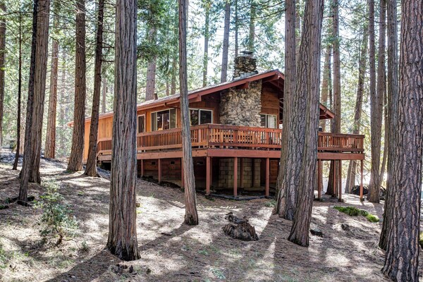 Robin's Nest - Wawona, CA