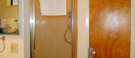 A bathroom with a glass shower door, a wooden door, a mirror, and a towel rack.