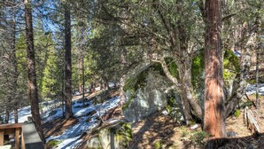 Unclassified image, 4 of 56, button - Bird's Eye View (Yosemite National Park)