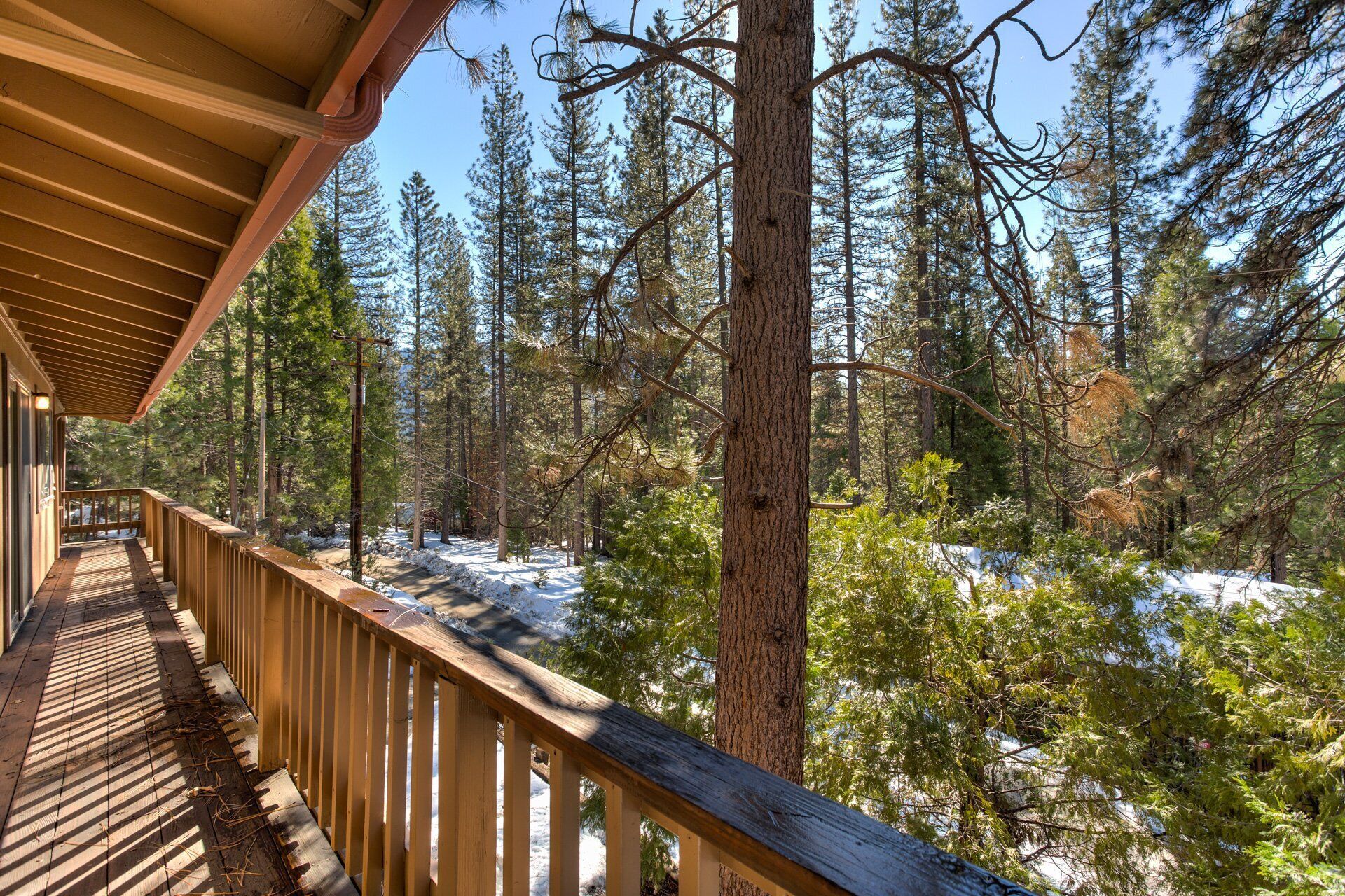 Una terraza de madera con vistas a un área boscosa cubierta de nieve.