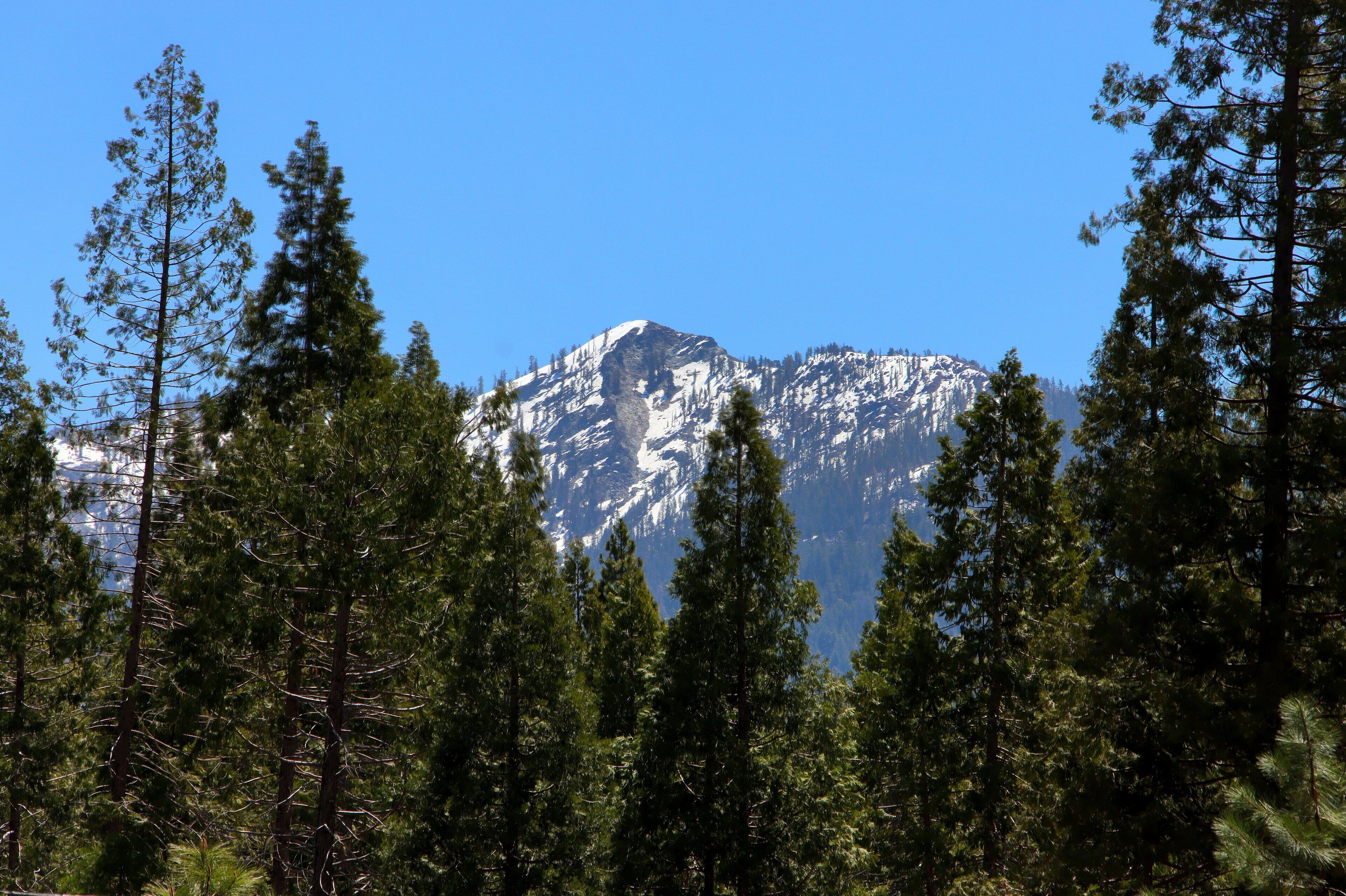 Una montaña con picos nevados, rodeada de un denso bosque de coníferas.