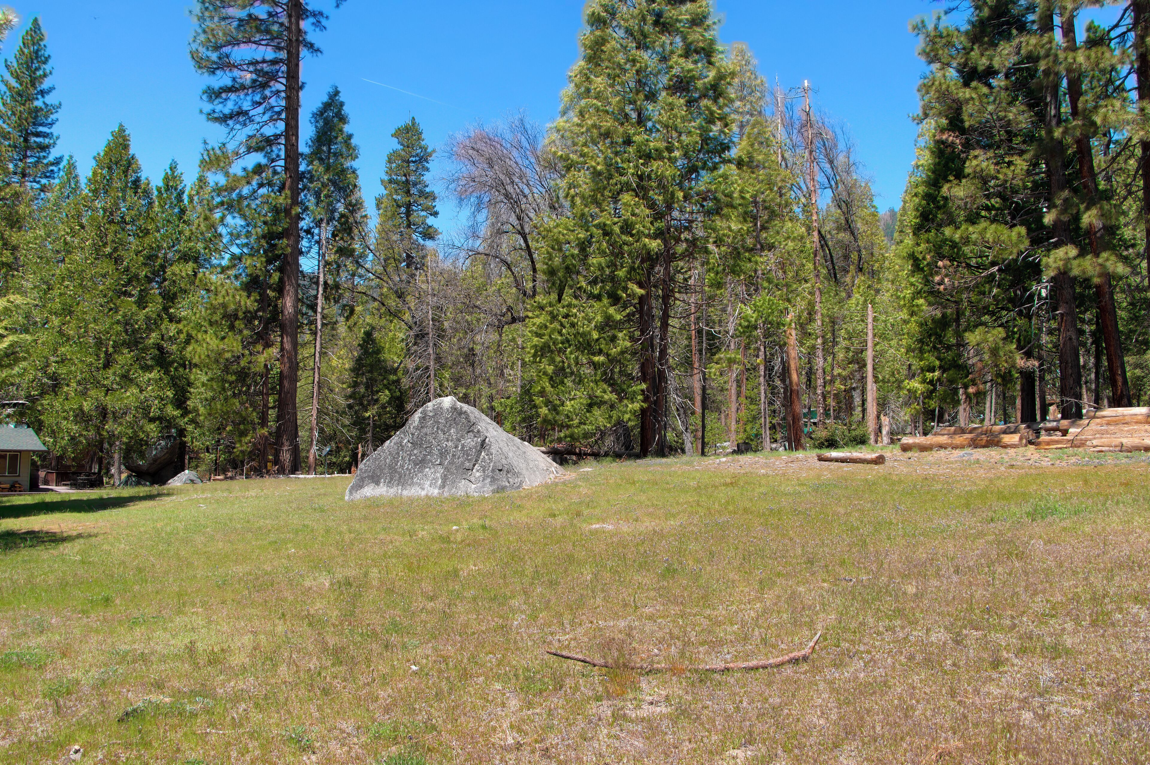 A grassy field with a large rock and a small cabin in the background surrounded by tall pine trees.