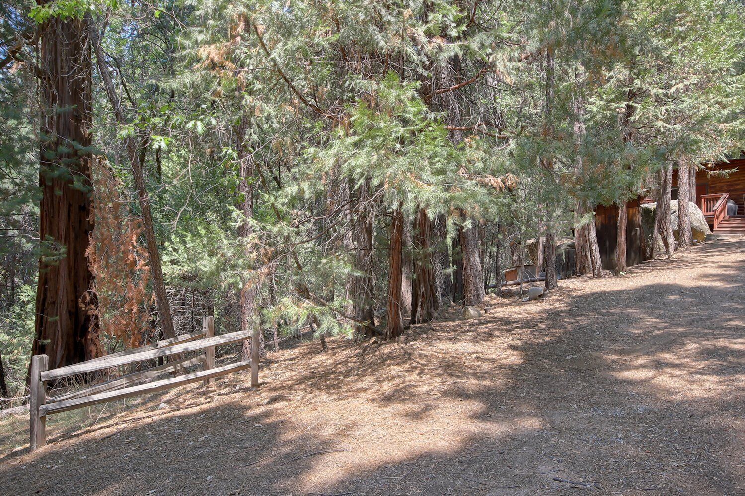 Un área boscosa con un sendero de tierra, cerca de madera y árboles grandes.