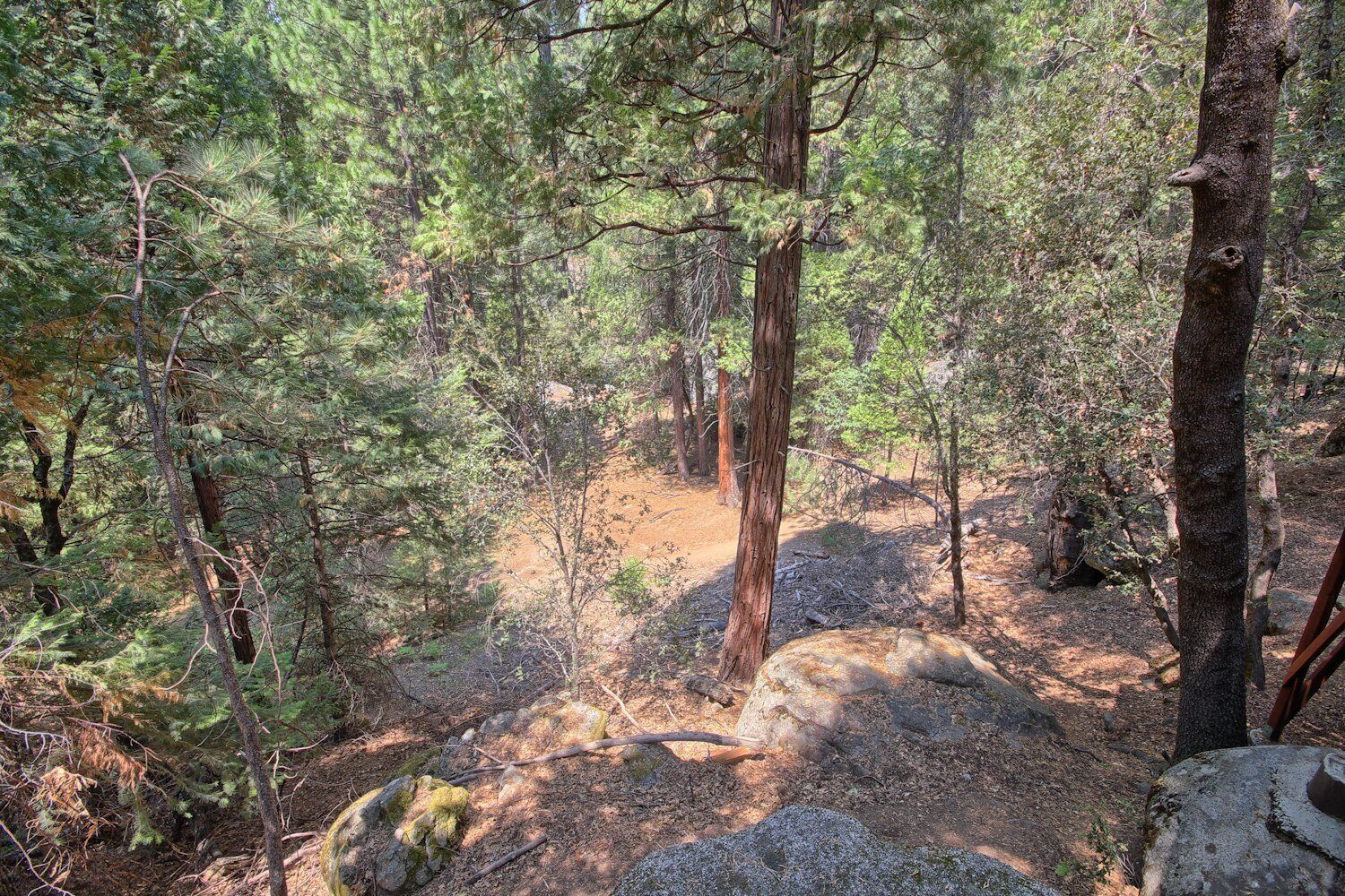 A forested area with a dirt path, large rocks, and trees.