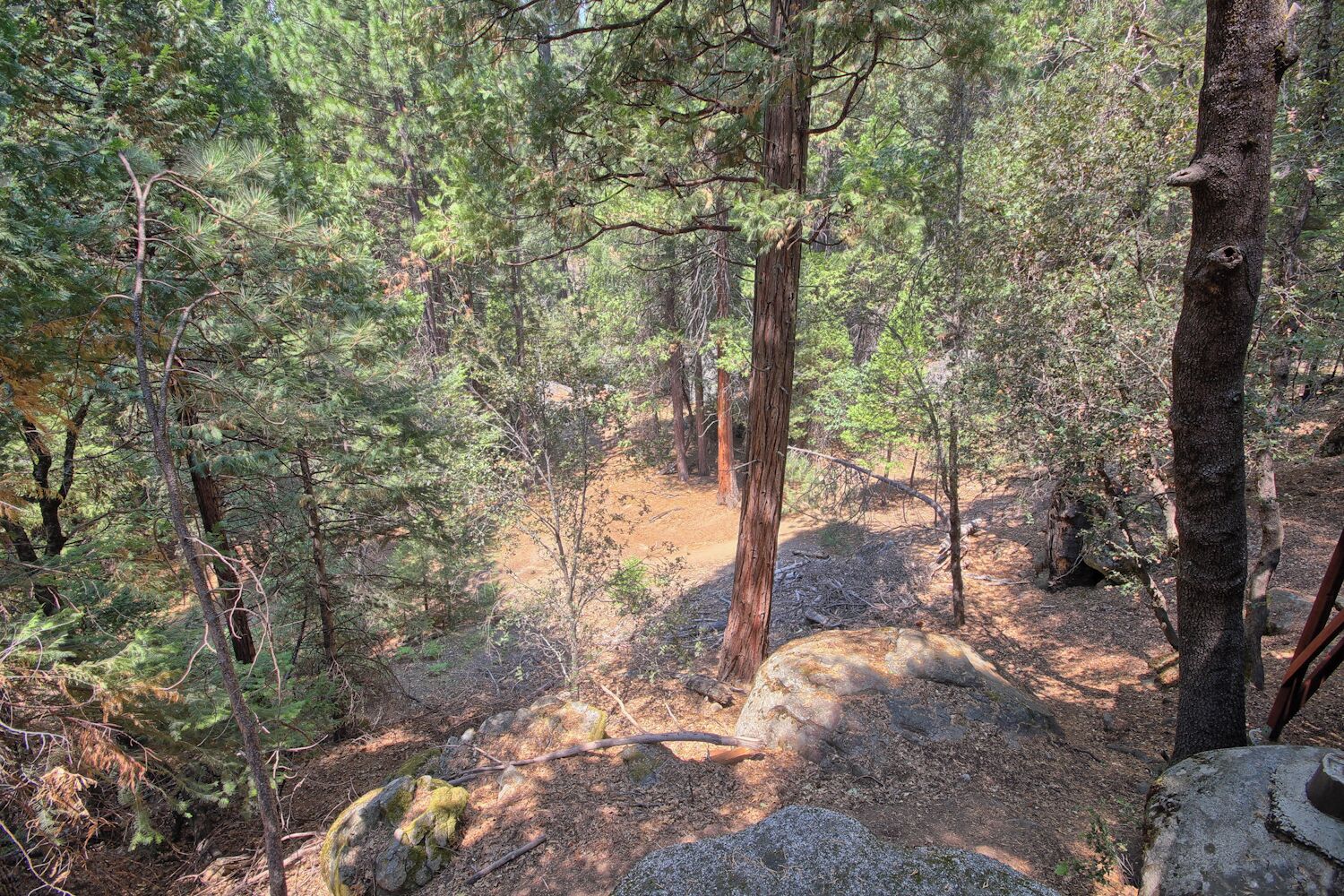 Une zone boisée avec un sentier de terre, un terrain rocheux et de grands arbres.