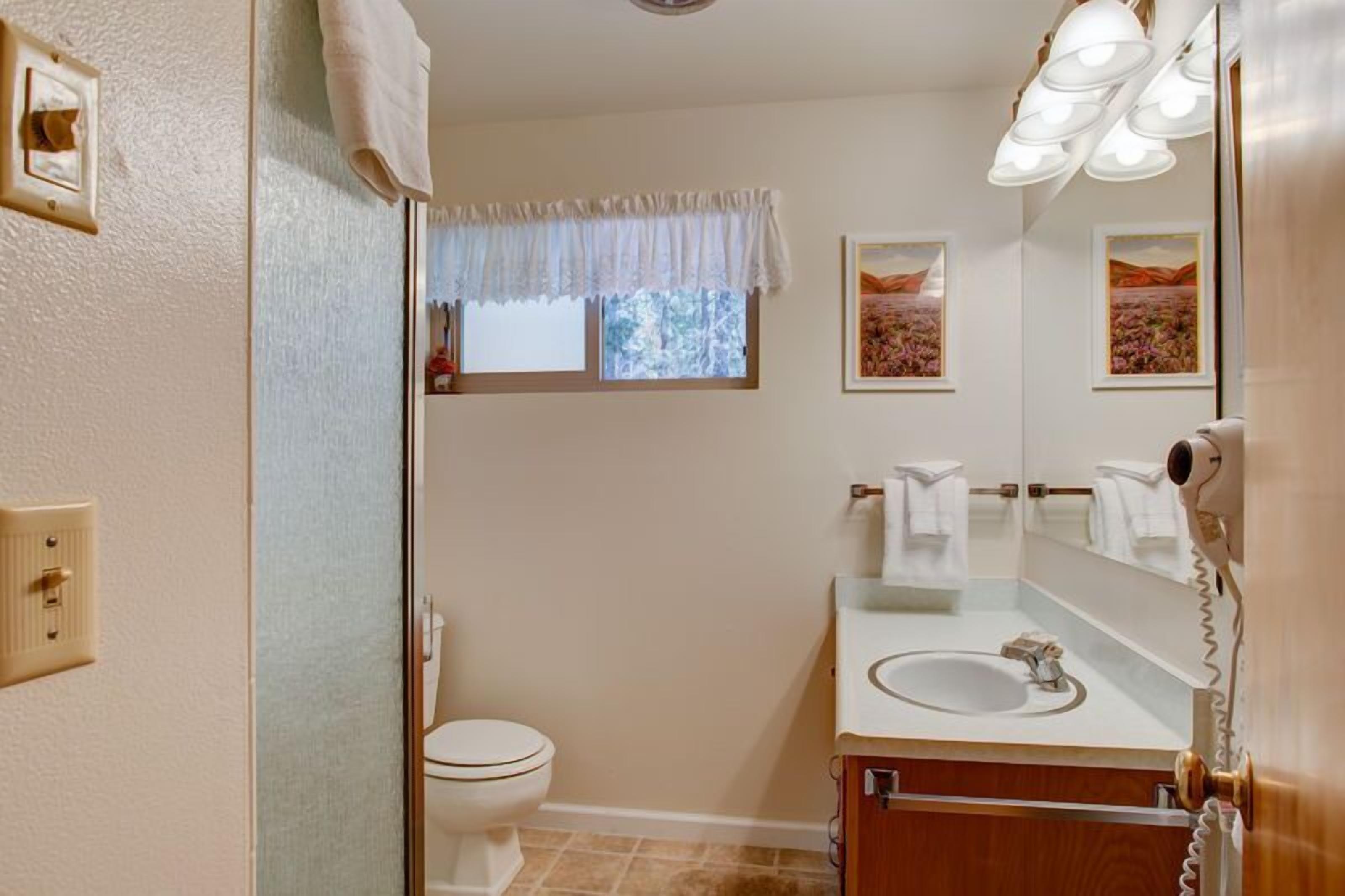 A bathroom with a toilet, sink, and a mirror with lights. There is a window with a curtain and two framed pictures on the wall.