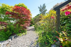 A gravel path flanked by diverse vegetation and a wooden structure. - Cosy garden cottage style flat with patio views (Grange-over-Sands)