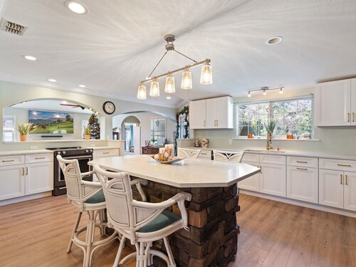 Bee's Tropical Charm