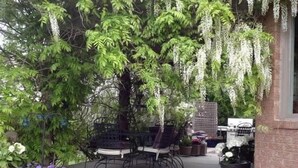 Um pátio com móveis de exterior e plantas penduradas.