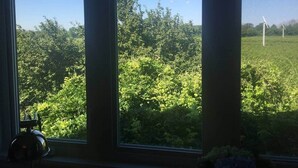 Une fenêtre donnant sur un paysage verdoyant et sur des éoliennes.