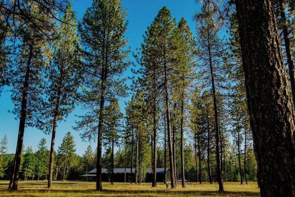 Miscellaneous - Luxe Nordic Barndominium Retreat at Black Pine (Chattaroy)