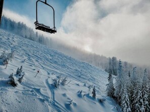 Snow and ski sports - Luxe Nordic Barndominium Retreat at Black Pine (Chattaroy)