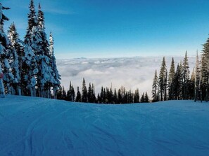 Snow and ski sports - Luxe Nordic Barndominium Retreat at Black Pine (Chattaroy)