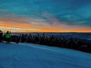 Snow and ski sports - Luxe Nordic Barndominium Retreat at Black Pine (Chattaroy)