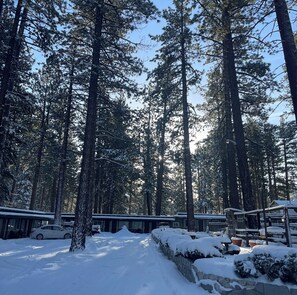 Property grounds - Charming 1-bedroom lodge in South Lake Tahoe for a relaxing stay (South Lake Tahoe)
