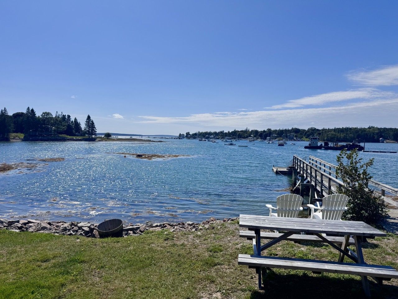 A lakeside view with a wooden dock, a picnic table, and chairs.